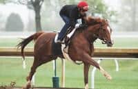 Code of Honor had 'time to grow up' for Belmont's Westchester