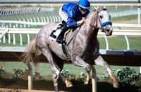 Kentucky Derby 2019 Radar: Gray Magician taking on Coliseum