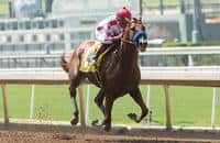 Collected produces scintillating performance in Precisionist