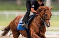 Which Breeders' Cup Classic contenders could be left out?