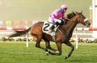 Colonel Joan Takes on Dirt in La Canada