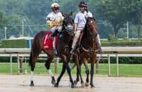 Concrete Glory is named Claiming Crown horse of the year