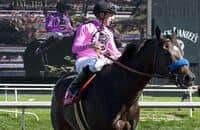 Cut the Drama and Show some Class