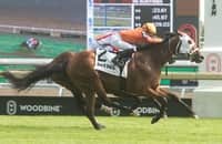 Woodbine: Connaught Cup, Canadian Stakes are on Sunday card