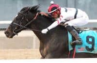 Oaklawn Park barn notes for Azeri Stakes and Essex Handicap