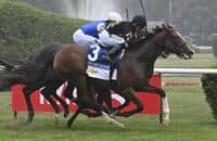 Daisy Flyer closes for upset win in Lake George at Saratoga