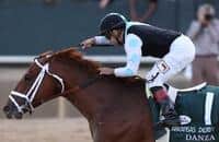 Arkansas Derby winner Danza sires first reported foal 