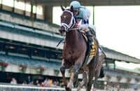 Todd Pletcher Wins Yet Another Champagne Stakes