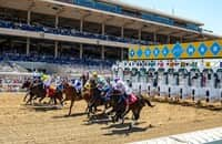 Del Mar again offers ship-and-win, maiden bonus programs