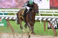 Lead changes in horse racing: What you need to know
