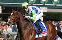 Divining Rod Targets Preakness