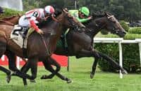 Saratoga: Donegal Momentum bounces back, wins Bernard Baruch