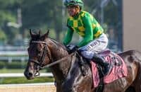 Tuesday works: 6 graded-stakes winners are on the tab