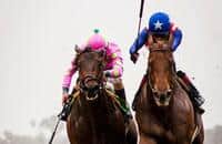 Kentucky Derby 2015 Contenders Gallery