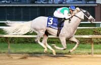 Zipse: Dragoon Guard is 1 to watch as we march to fall racing