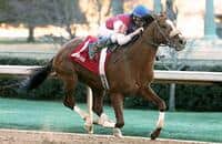 Stablemate Drogue Beats Cyber Secret