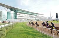 Dubai World Cup 2024: Here are free PPs for $12 million race