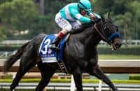 Breeders' Cup contender Eight Rings' breeding rights purchased