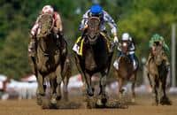 Zipse: Elate should race the boys sooner rather than later