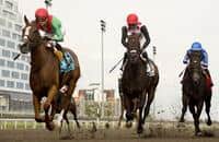 Woodbine: Elysian Field leads Casse trifecta in Seaway win