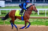 Kentucky Derby 2024: Encino is scratched, Epic Ride joins field