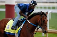 Workouts: Epicenter is 1 of 51 graded-stakes winners on the tab