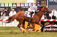 Everything Lovely Earns First Stakes Victory in The Very One