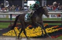 What horses are running in Belmont Stakes 2016?