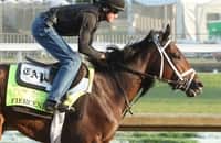 Report: Pletcher is targeting Belmont Stakes with Fierceness