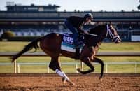 Workouts: Idle Breeders’ Cup winner stands out on Sunday tab