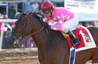 Kentucky Derby 2015 runner-up Firing Line retired 