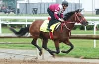 Kentucky Derby notes: Forever Young, T O Password work