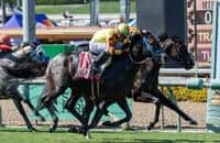 Freedom's Not Free, Sumter set for Del Mar rematch 