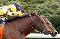 Keeneland: Future Is Now wins by nose in Giant’s Causeway