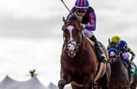 Breeders' Cup Dirt Mile 2021: Meet the speediest of the speed