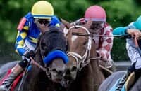 Retired steward would have DQ’d Journalism in Preakness