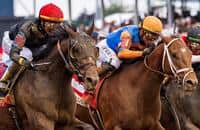 Belmont guide: Golden Tempo, Renegade headline rematch