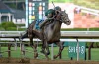 NTRA poll: Belmont winner Golden Tempo debuts in top 10