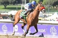 2014 Breeders' Cup Dirt Mile: Can Goldencents Keep His Crown?