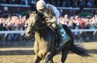 Good Samaritan's back to his grass roots in Woodbine Mile
