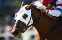 Breeders' Cup Sprint Races Report - Oct. 29