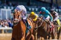 Saratoga: Gunmetal looks to regain form in Amsterdam 