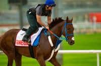 Gunnevera retired after 'exciting' career, $5.6 million in winnings