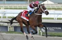 Zipse: Can Hades do it again in the Florida Derby?