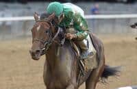 Held Accountable switches surfaces and wins Joseph A. Gimma