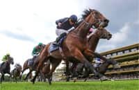 Henri Matisse with rally, Zarigana by DQ win France Guineas