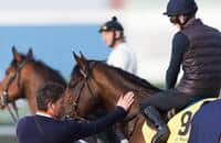 Dubai World Cup Day 2017 Trackwork Notes for March 22