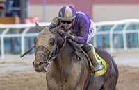 Belmont is next for Hill Road after rallying to win Peter Pan