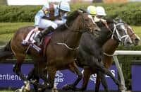 Airoforce 3-1 Choice in Competitive Kentucky Jockey Club