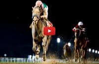 HorseCenter - Our favorite races in 2017